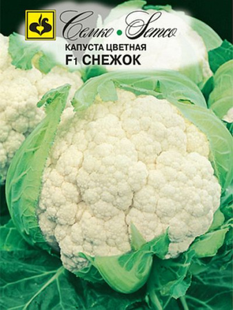 1895