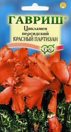 2569