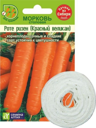 МОРКОВЬ