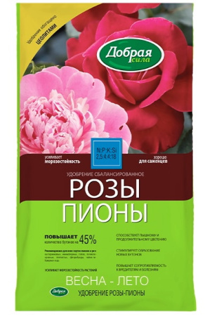 IMG-4659