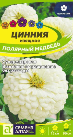 полярный медведь