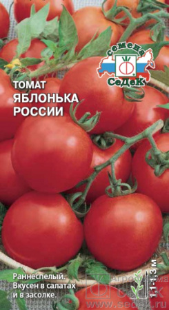 tomat_yablonka_rossii