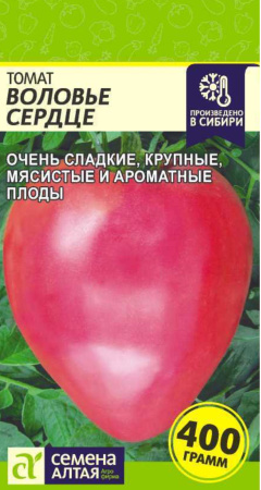 IMG-1536