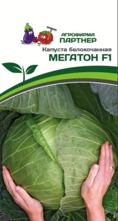 1423