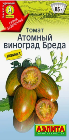 томат
