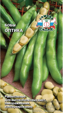 boby_optika