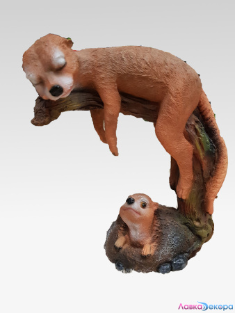 сури на ветке