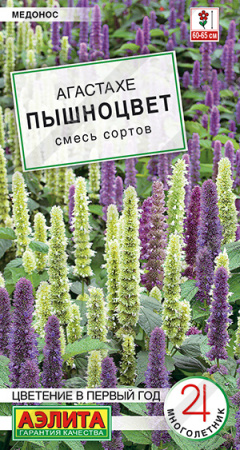 Агастахе Пышноцвет аэлита